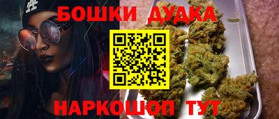 гидра Кохма
