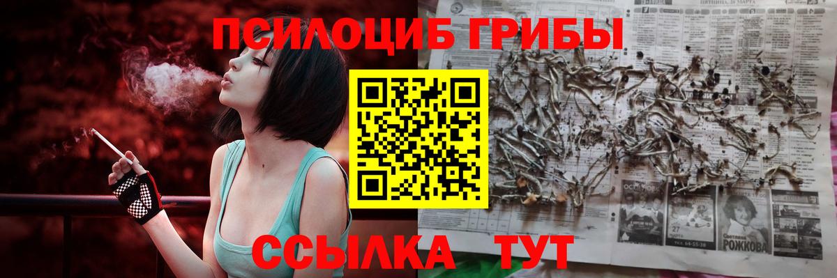 Губкинский  Псилоцибиновые грибы мухоморы  Вход с VPN  Псилоцибиновые грибы MAGIC MUSHROOMS 